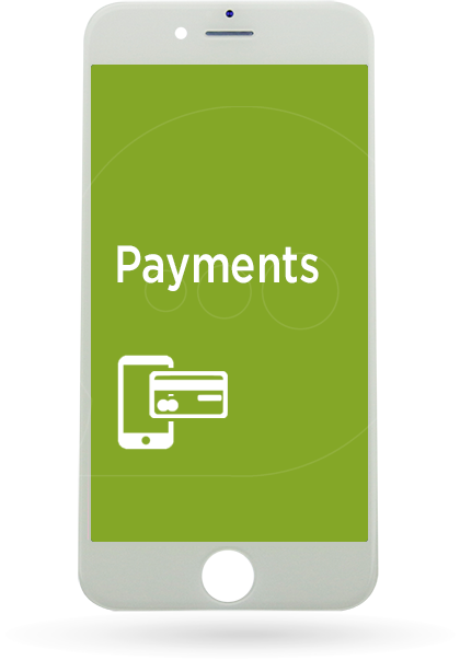 Phone Image with Payments Feature Text